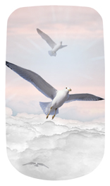 DAROYAL-101-PK Journey Home Clouds Birds Pink